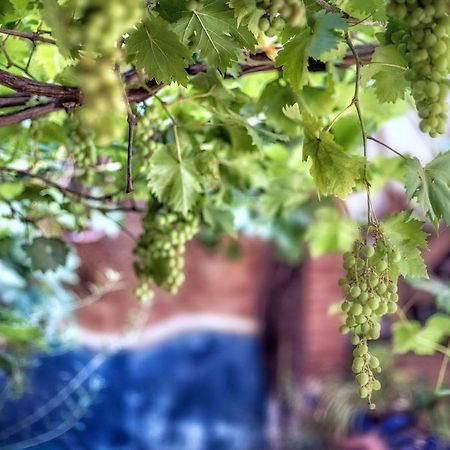 Dar Baibou Bed & Breakfast Чефчауен Екстериор снимка